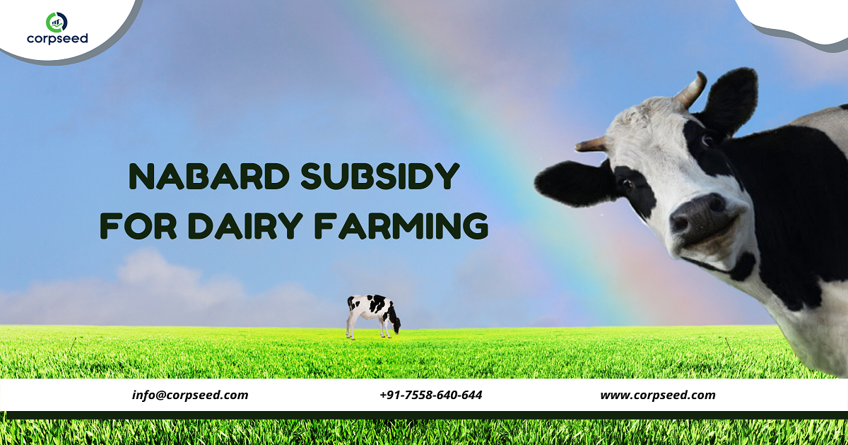 NABARD Subsidy for Dairy Farming.png